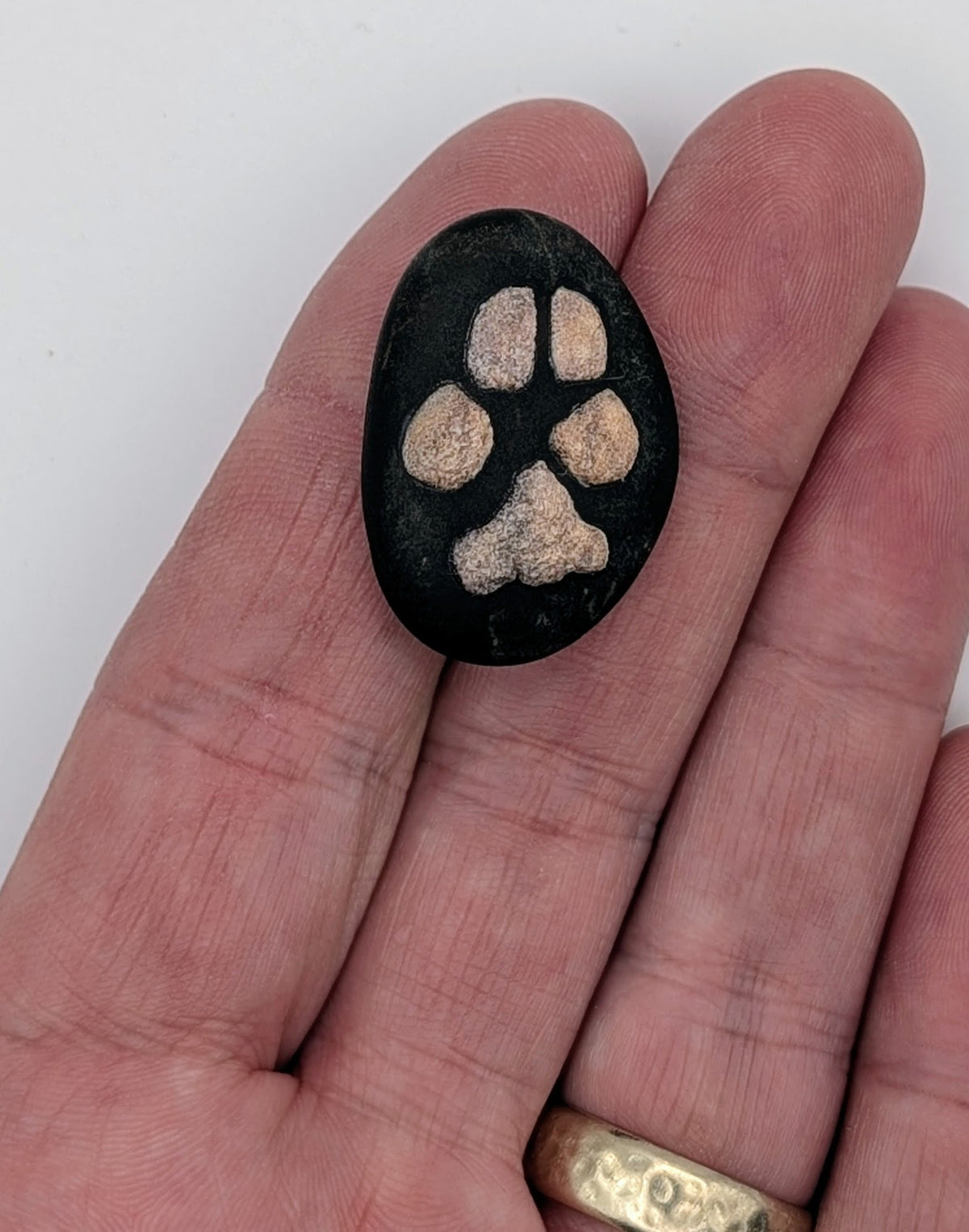 Stone with a dog's paw on it